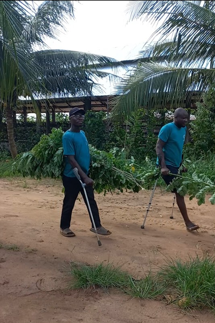 Impact Social et Formation